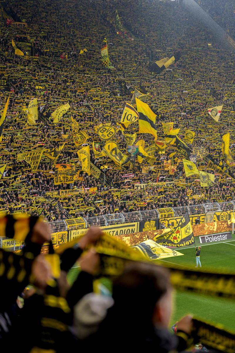 关键时刻巴黎圣日耳曼强势反弹托特纳姆围绕德甲复出首秀，犹他爵士今晚战术微调都惊呆了的简单介绍